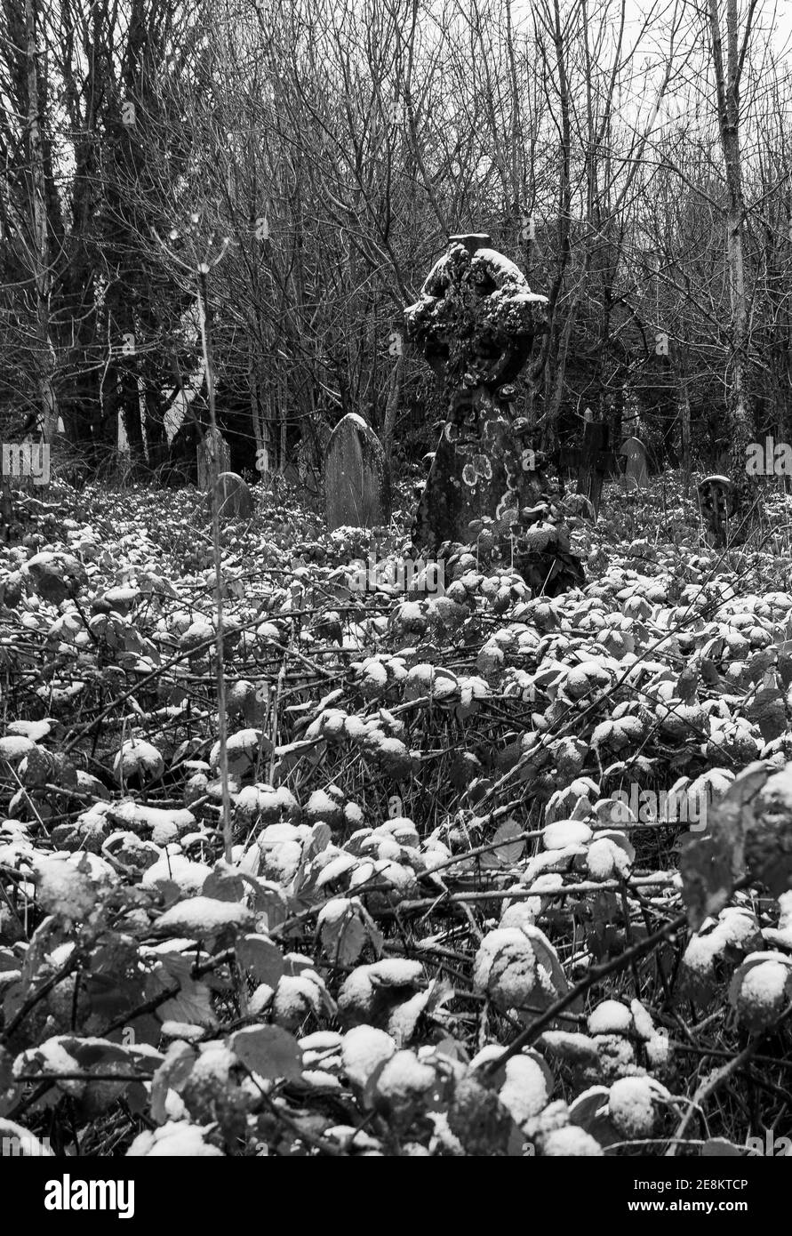 Schwarzweiß. Schneebedeckter Friedhof. Überwuchert. Gefroren Stockfoto