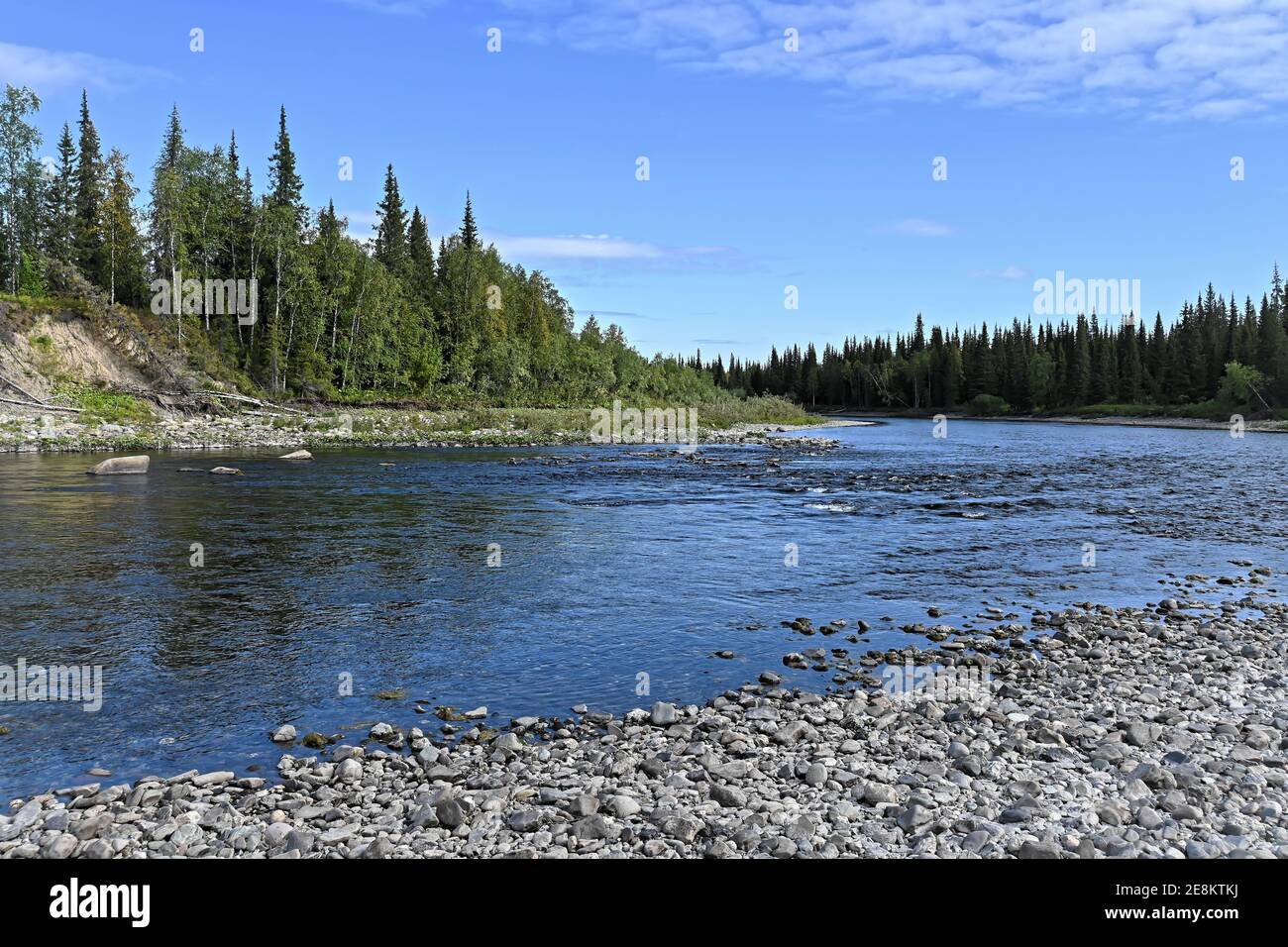 Nördliche Flusslandschaft an einem sonnigen Sommertag. Ein Fluss in den Wäldern der Jungfrau Komi. Stockfoto