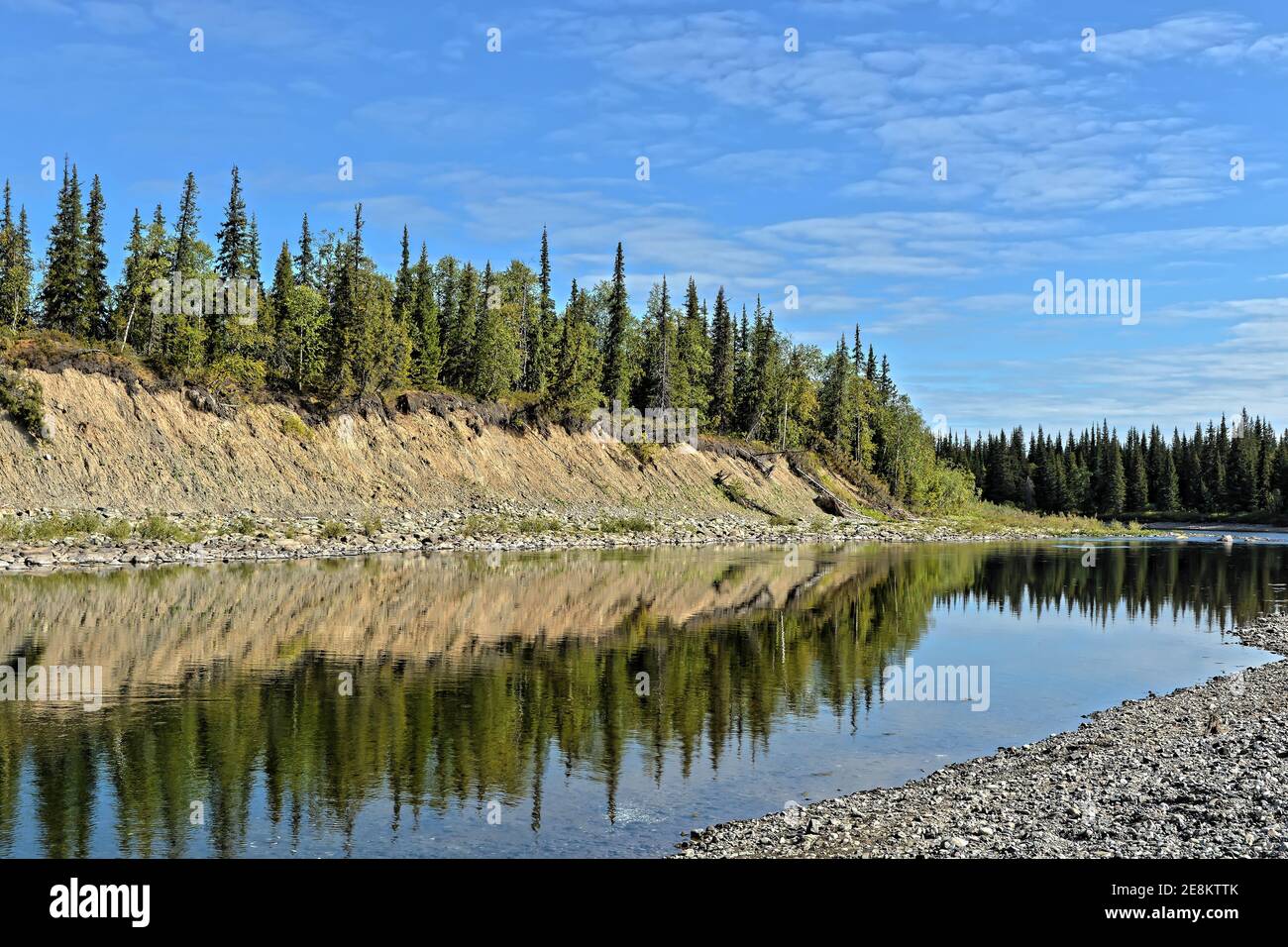 Nördliche Flusslandschaft an einem sonnigen Sommertag. Ein Fluss in den Wäldern der Jungfrau Komi. Stockfoto
