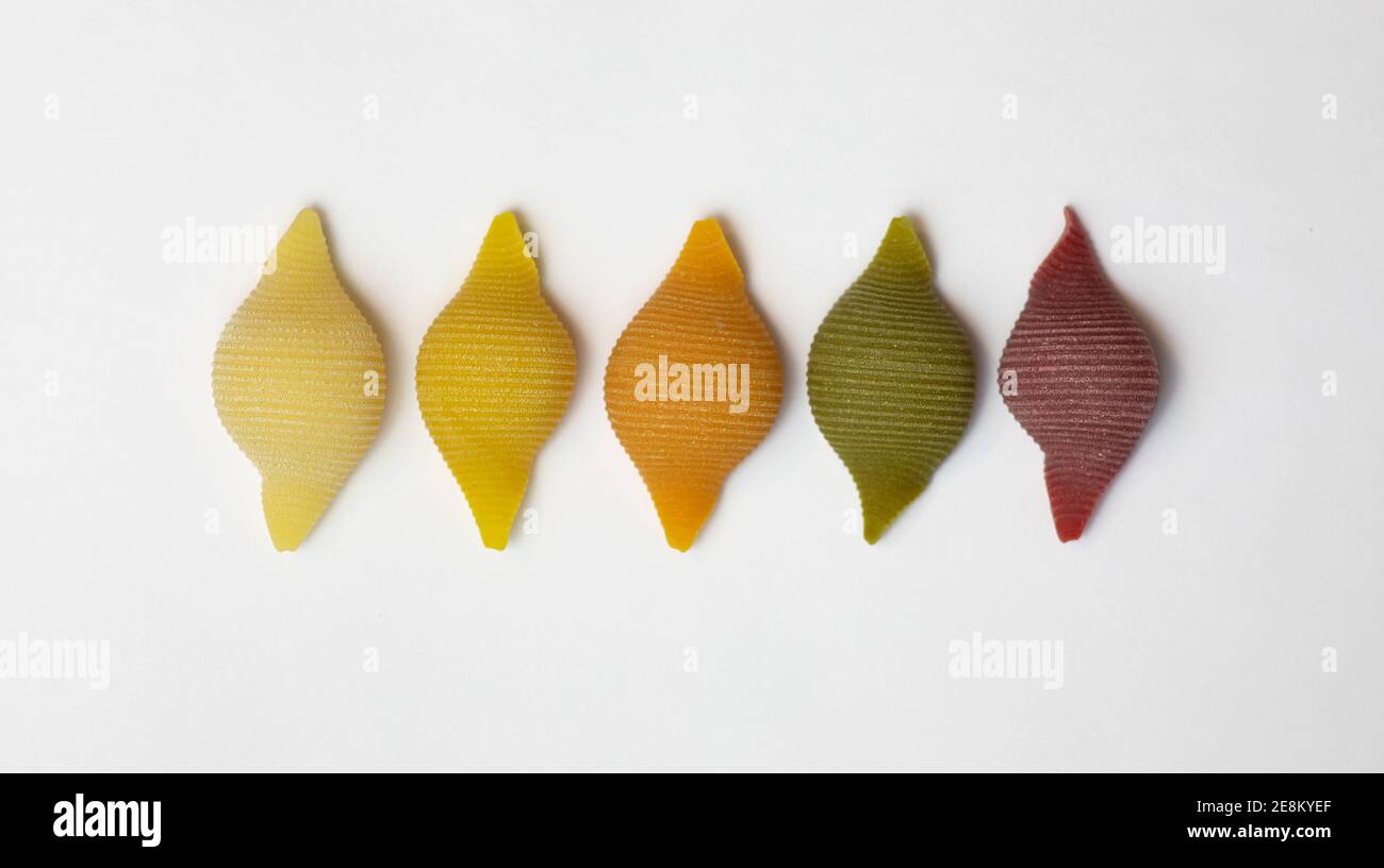 Muschelnudeln in 5 Farben und Geschmacksrichtungen. Rohe Vollkornteigwaren auf weißem Hintergrund, mit Hartmehl hergestellt Stockfoto