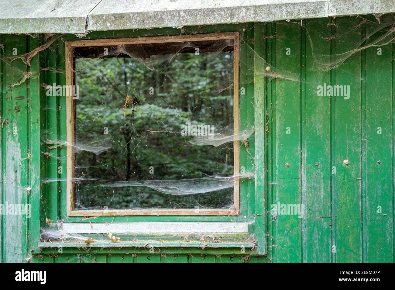 Ein Fenster voller Spinnweben. Das Fenster eines Wetterschutzfahrzeugs für Waldarbeiter ist mit Spinnweben bedeckt. Stockfoto