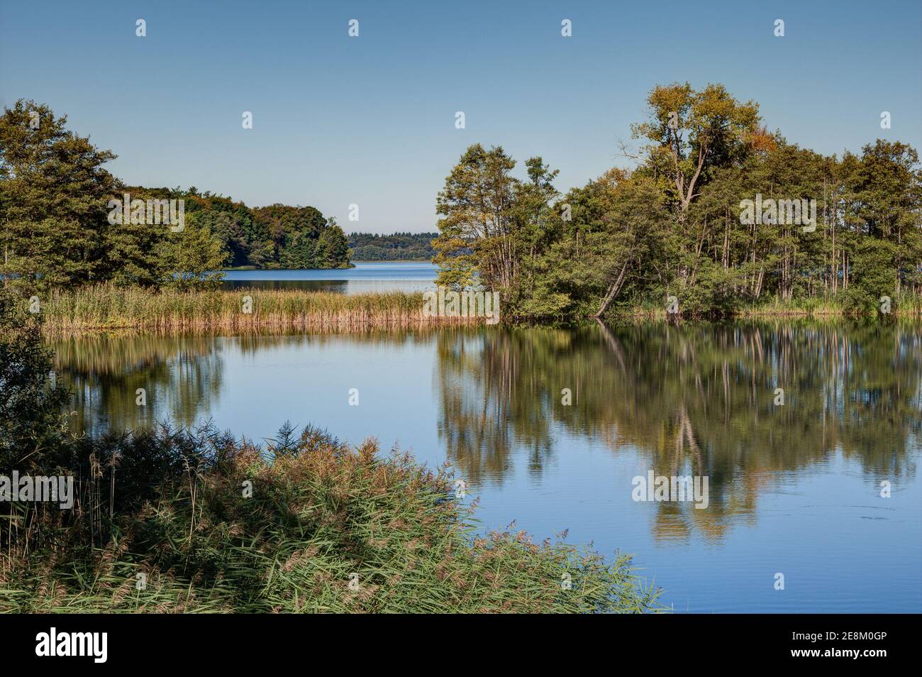 54+ Gärten Auf Der Strecke Hh Schaalsee, Find local businesses, view