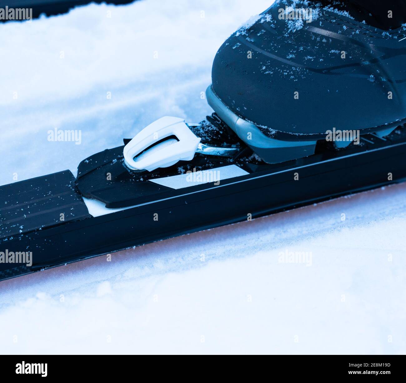 Nahaufnahme des Langlaufschuhs, der auf den Skiern festfährt. Stockfoto