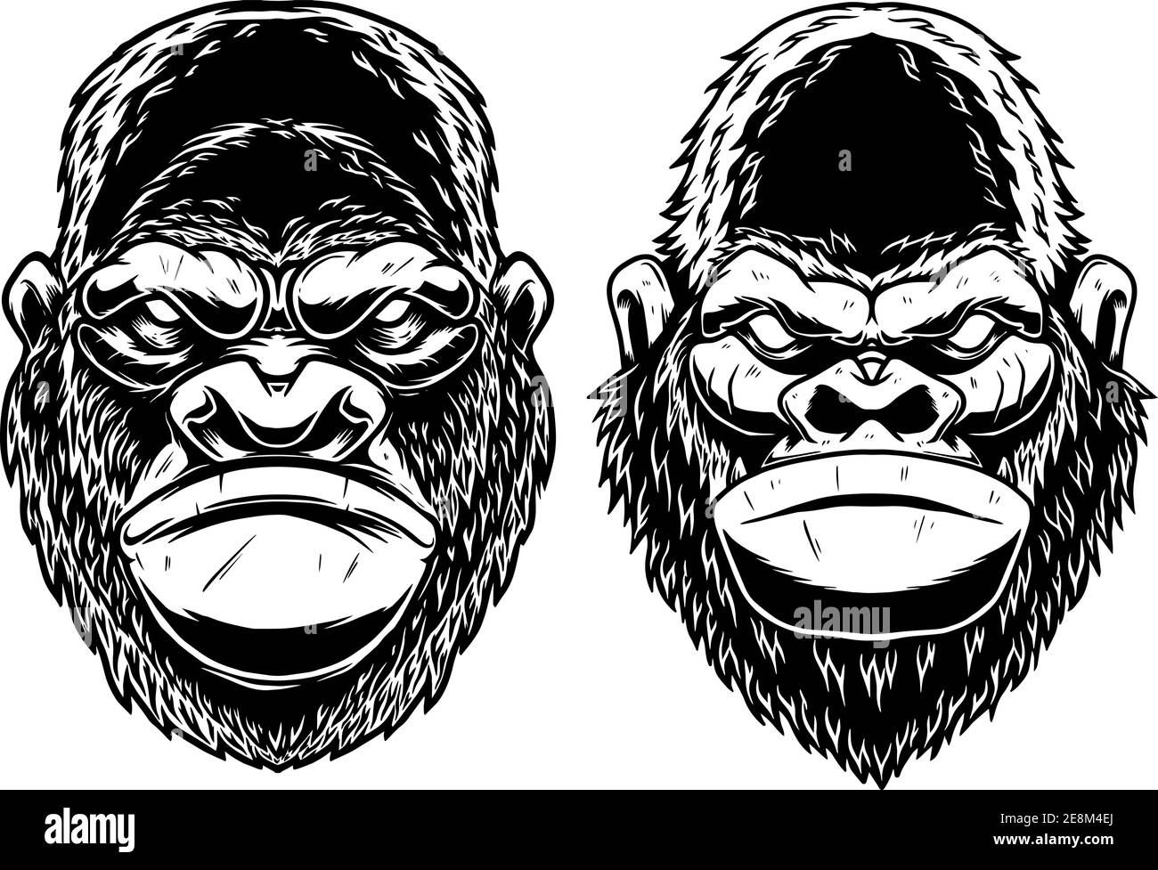 Satz von Illustrationen des Kopfes von Gorilla Affe im Vintage-monochromen Stil. Gestaltungselement für Logo, Emblem, Schild, Plakat, Karte, Banner. Vektorgrafik Stock Vektor