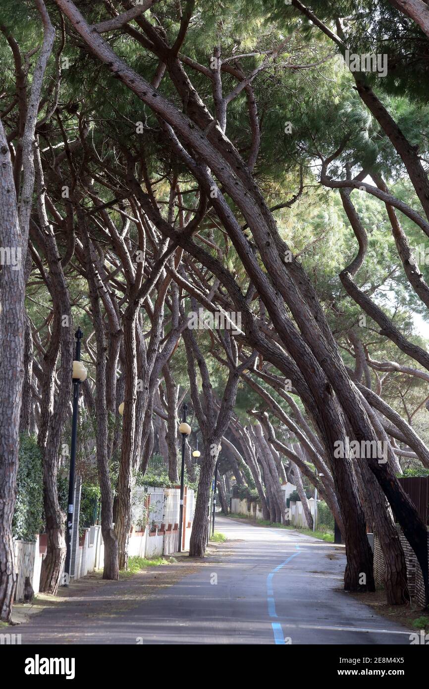 Cellole, Italia - Domenica 31 gennaio 2021: Baia Domizia Stockfoto