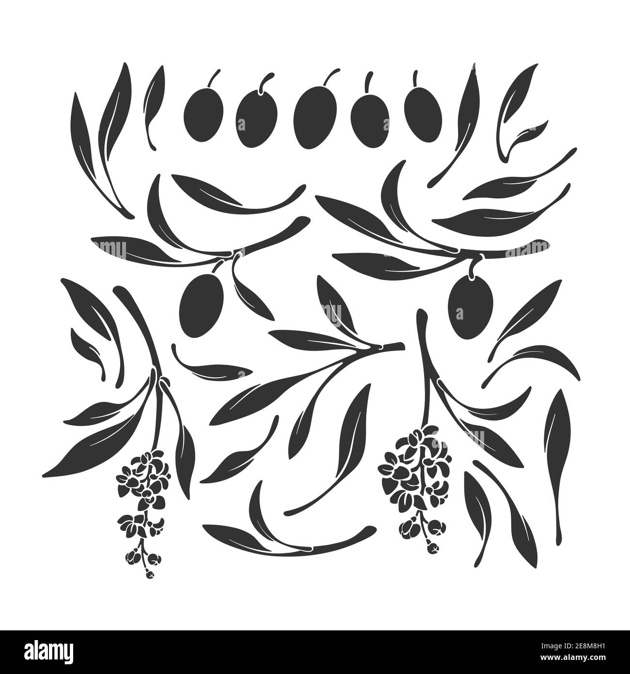 Kalamata Oliven Set Silhouetten. Vektor schwarze Form des Astes, isolierte Blätter, Früchte, Blume auf weißem Hintergrund. Natur Illustration, einfacher Druck. Stock Vektor