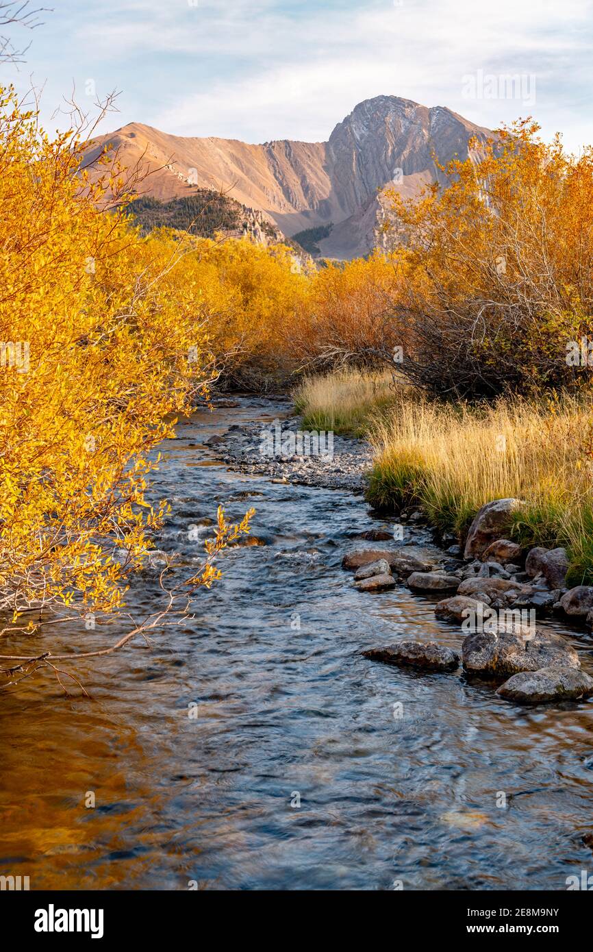 Bergfluss im Herbst mit entferntem Gipfel Stockfoto