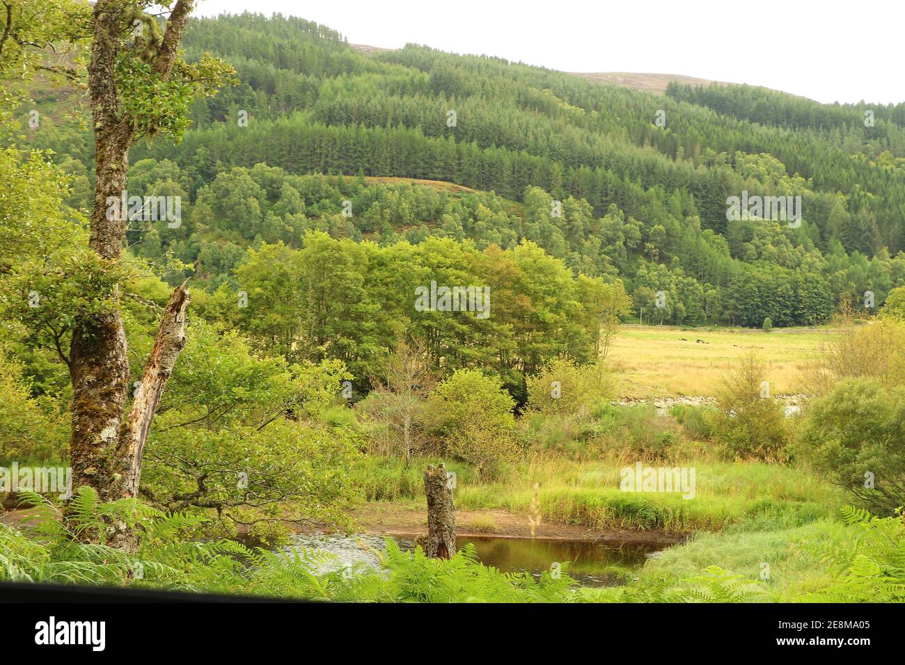 Ein Blick von den Hügeln Schottlands auf die Täler, Flüsse und Seen Stockfoto