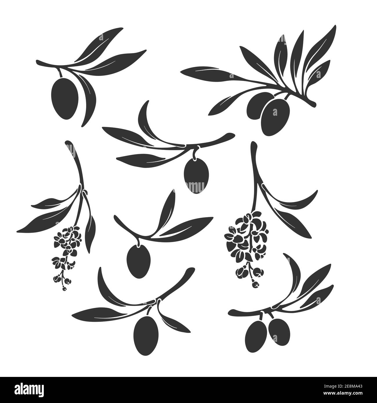 Olive Branch Set. Vektor schwarze Silhouette von Früchten auf weißem Hintergrund. Naturform isoliert. Sammlung von organischen Symbol, drucken. Spanien, italien Bauernhof Stock Vektor