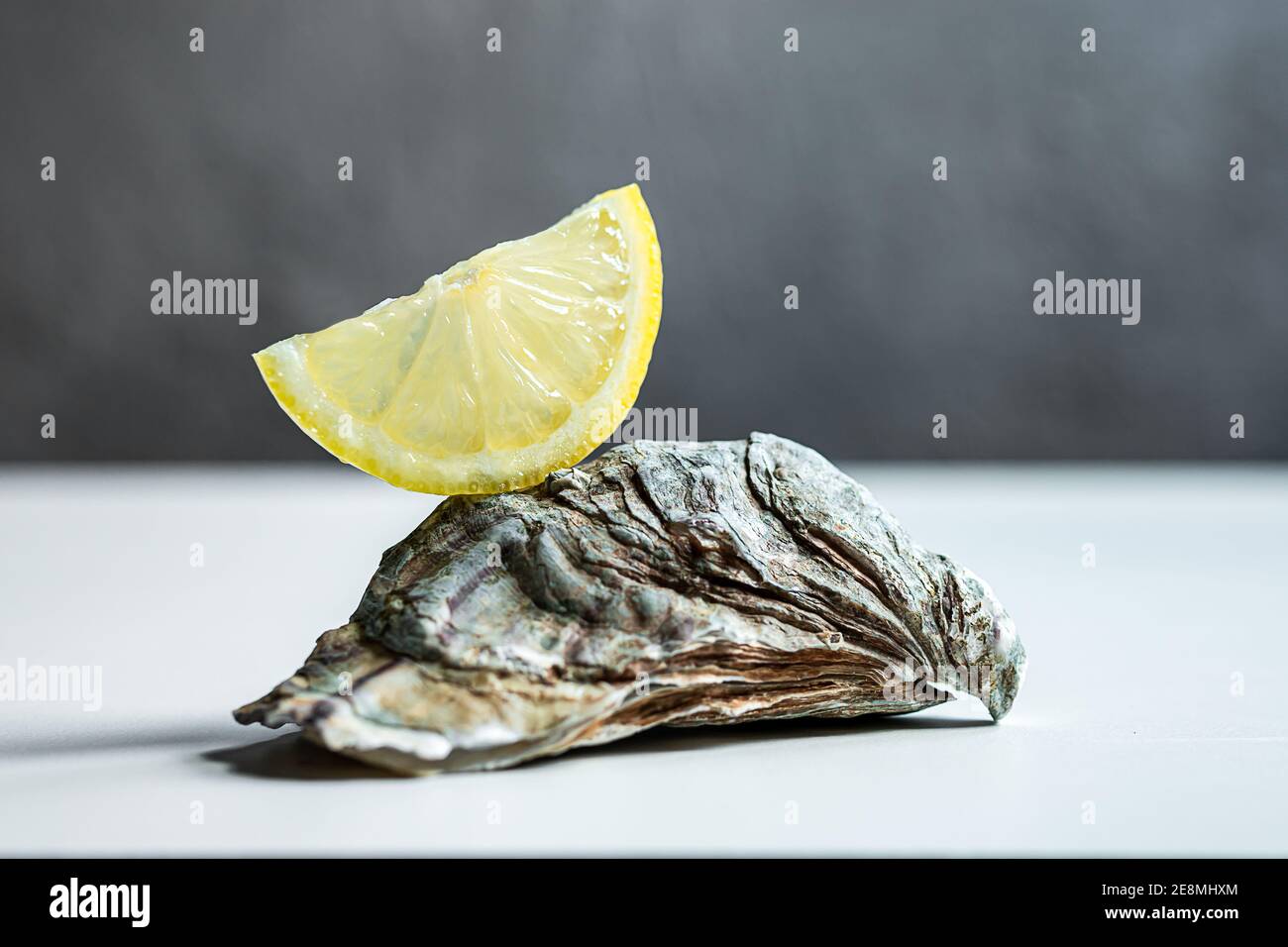 Geschlossene frische rohe Auster auf einem weißen Tisch mit einem Zitronenscheibe in Nahaufnahme Stockfoto