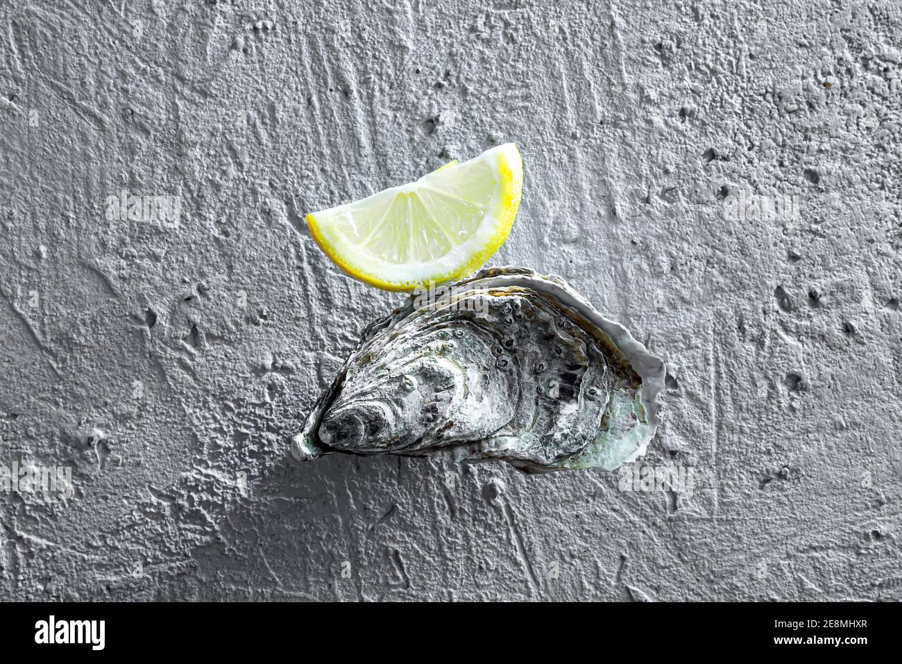 Eine Auster auf einem grauen Betongrund mit einer Zitronenscheibe, Nahaufnahme Stockfoto