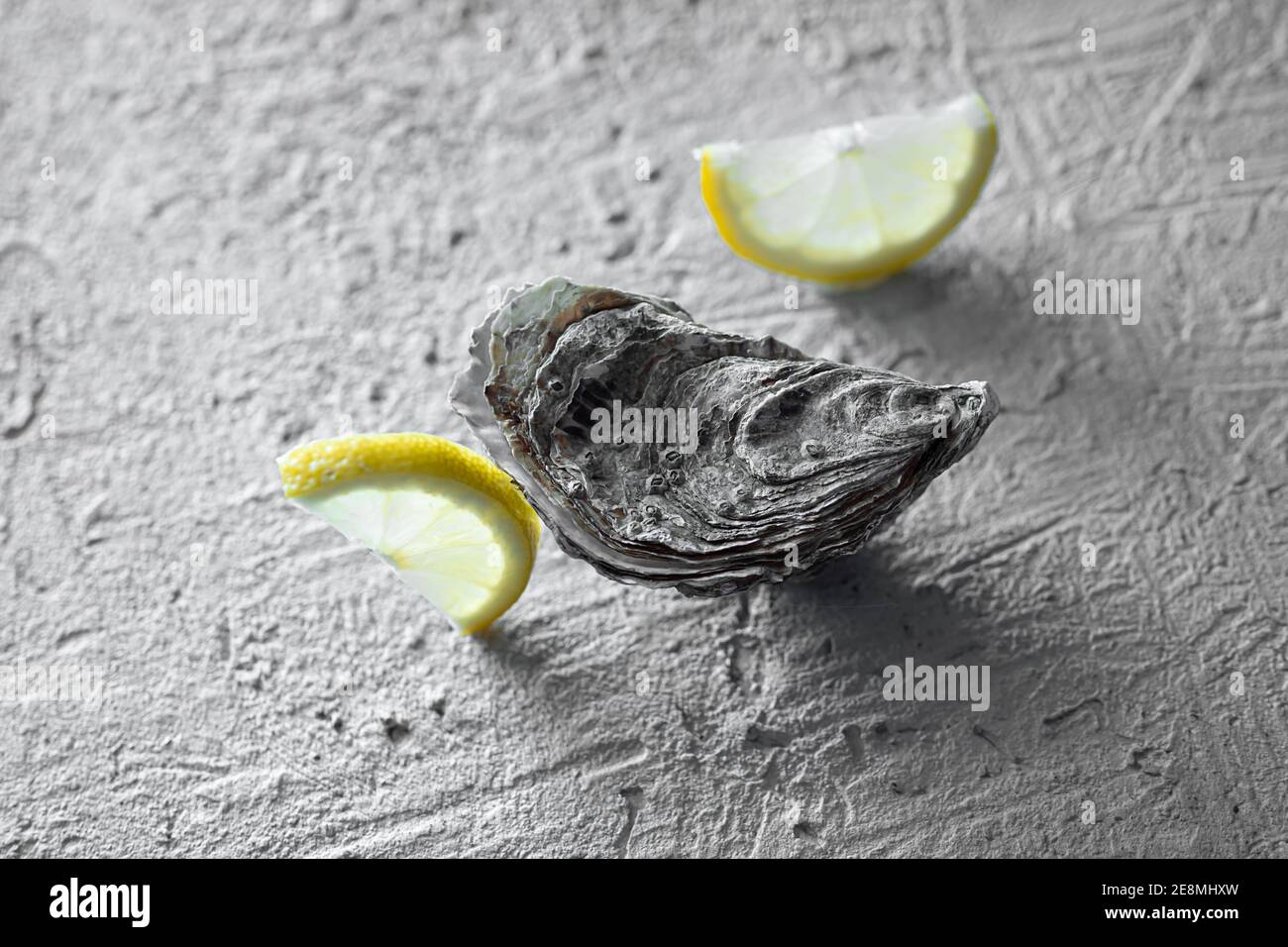 Eine Auster und zwei Zitronenscheiben auf einem grauen Beton Hintergrund Stockfoto