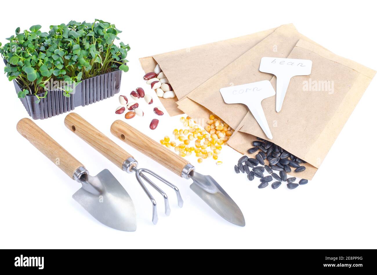 Frühjahrsvorbereitung und Planung für die Aussaat von Gemüse. Vegetarische Samen in Bastelpapier-Umschlägen. Saisonale Gartenarbeit. Studio Foto Stockfoto