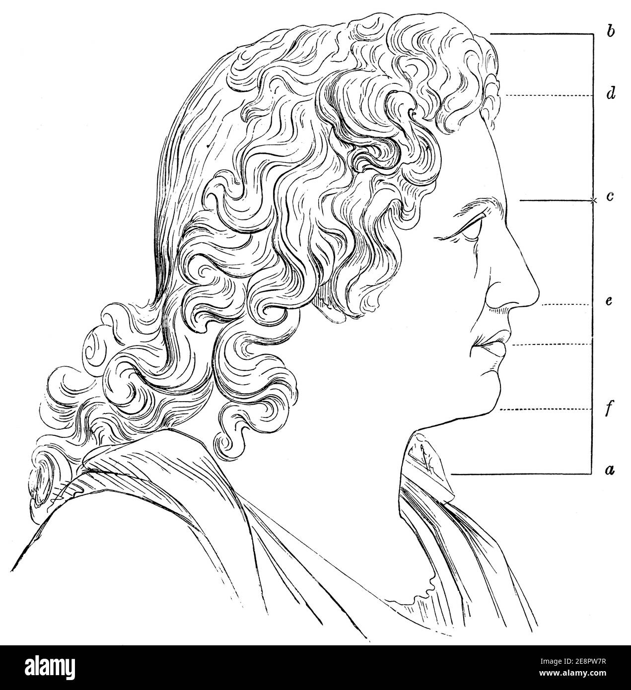 Menschlicher Kopf, der die relativen Proportionen der Abstände zwischen den Teilen des Gesichts zeigt. Illustration des 19. Jahrhunderts. Deutschland. Weißer Hintergrund. Stockfoto