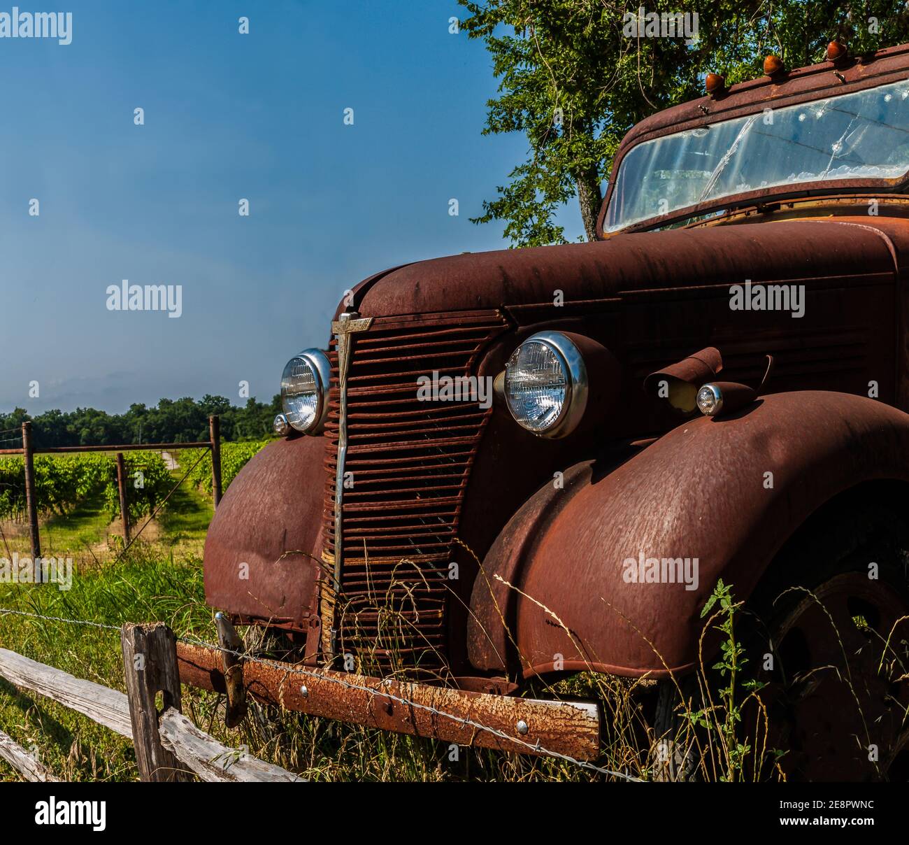 Old Rusty Farm Truck in Winery, Sisterdale, Texas, USA Stockfoto