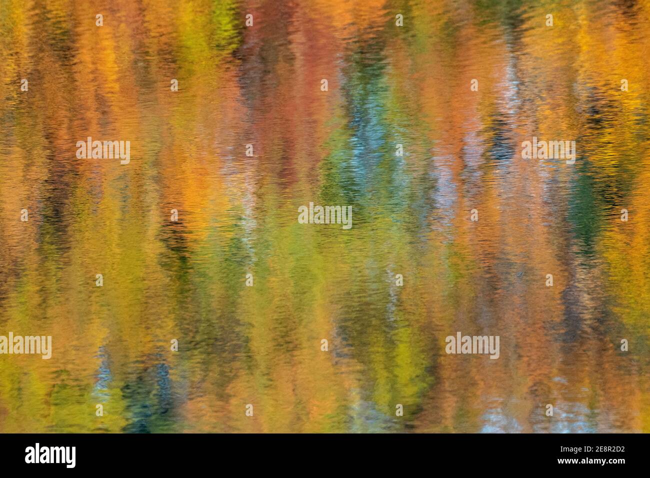 Herbstlaub reflektiert auf dem Wasser in einem abstrakten Muster. Stockfoto