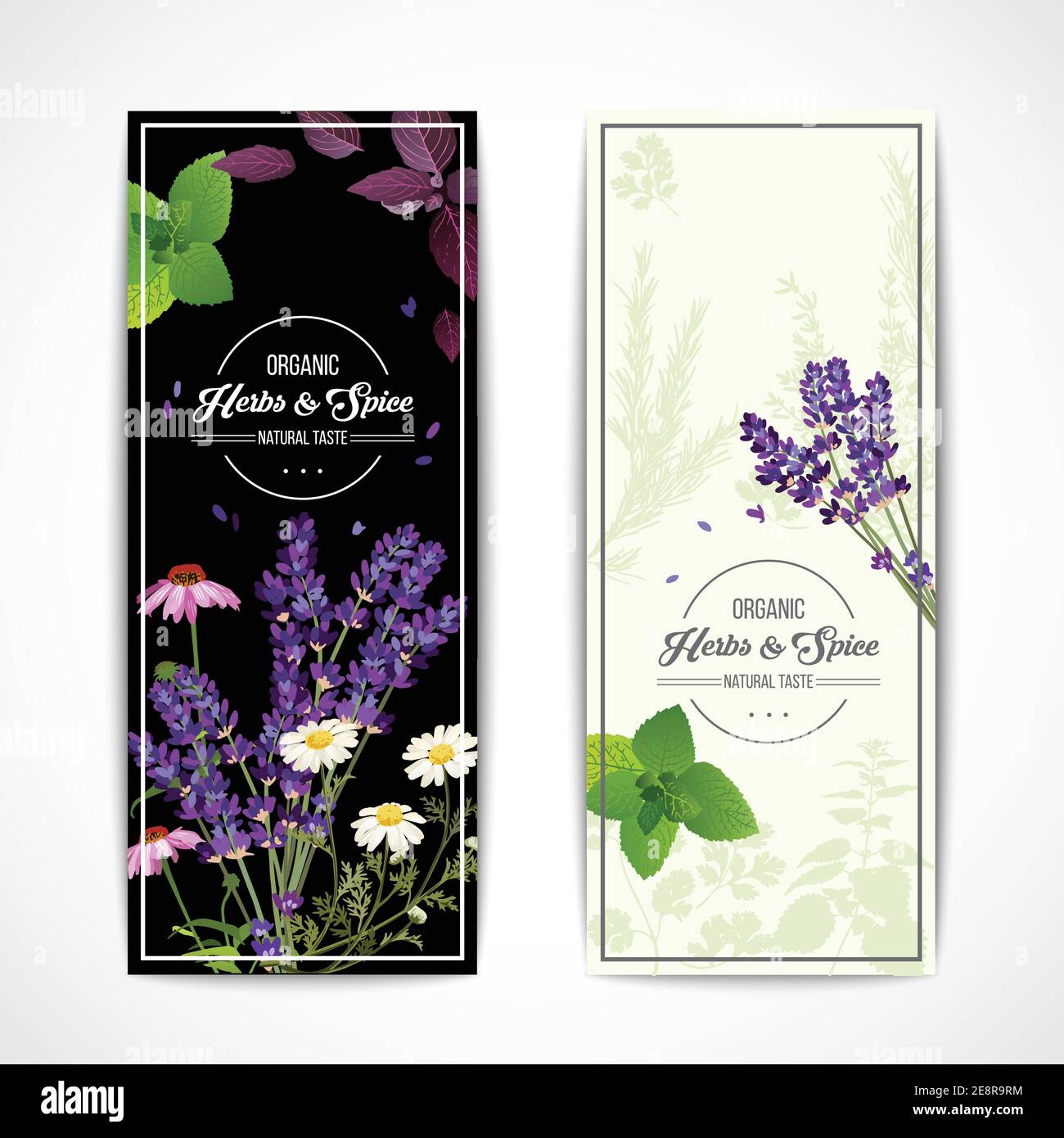Karte mit Bio-Kräutern und blühenden Blumen und Gewürzen auf Schwarz-Weiß-Hintergrund Vektorgrafik Stock Vektor