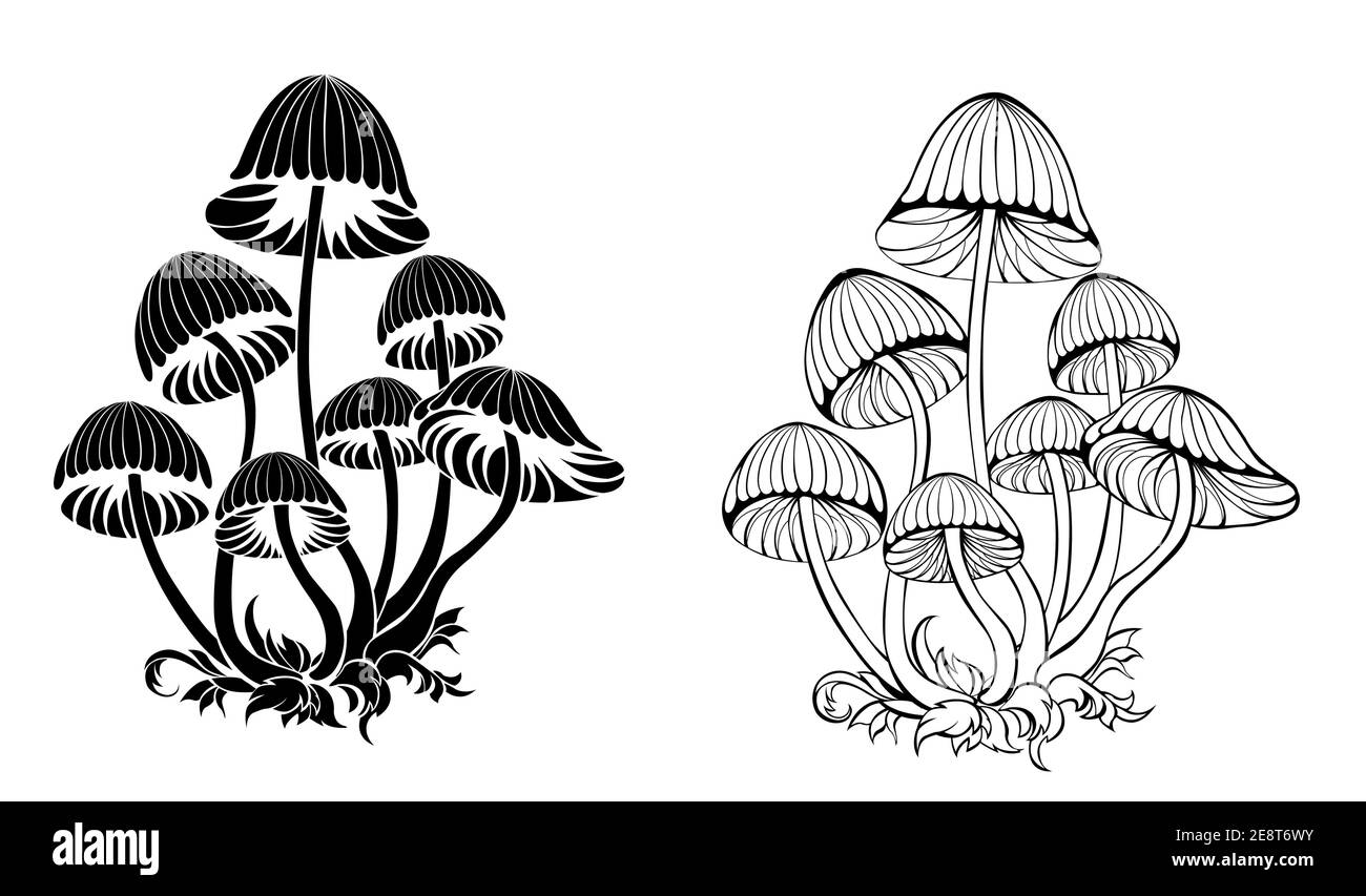 Zwei Gruppen von künstlerisch gezeichneten, konturierten, schwarzen, isolierten, Silhouette-Toadstools auf weißem Hintergrund. Halluzinogene Pilze. Stock Vektor