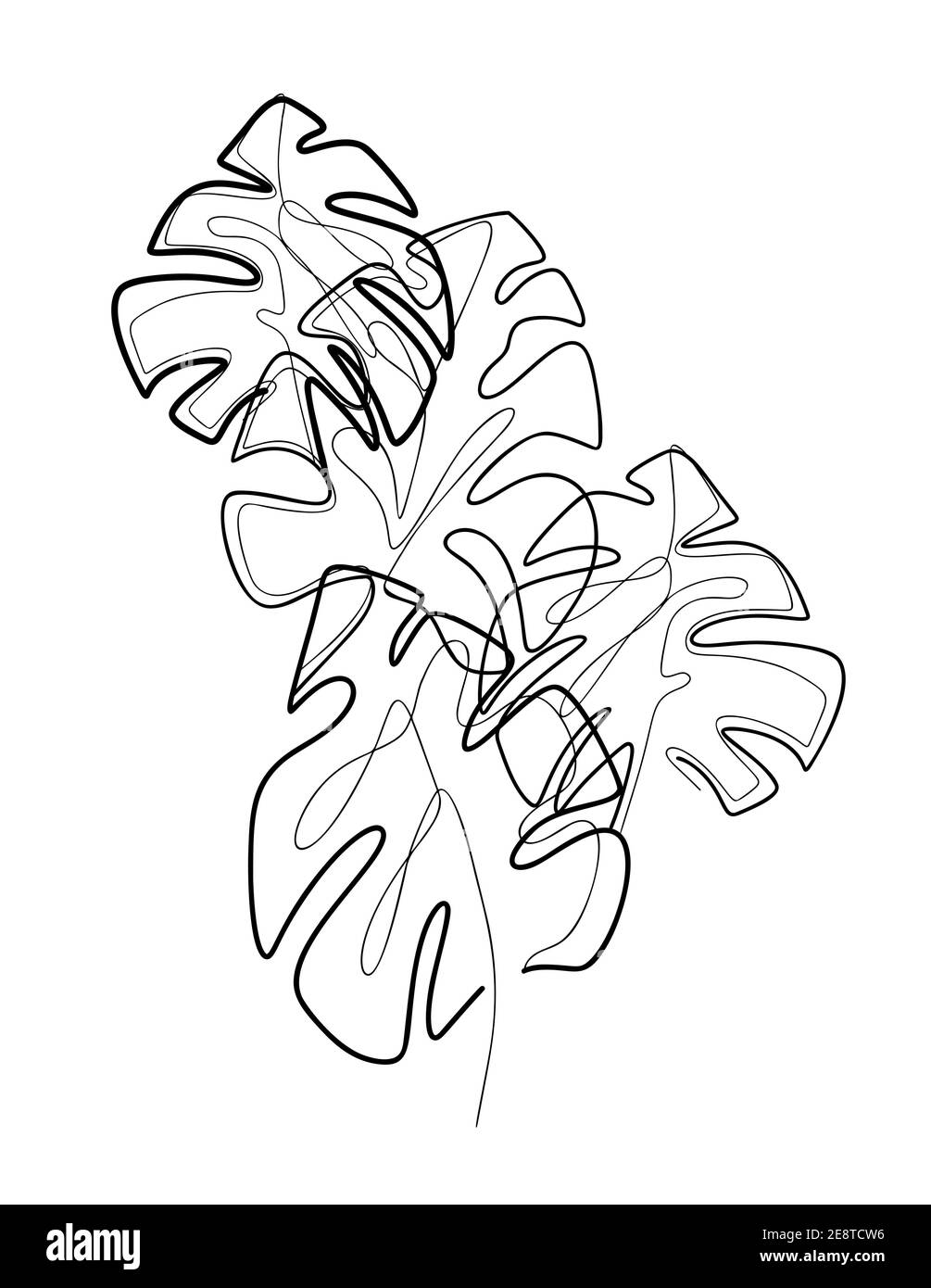 Zusammensetzung aus monolinischen Blättern der Monstera. Kontur tropisches Laub. Schwarz und