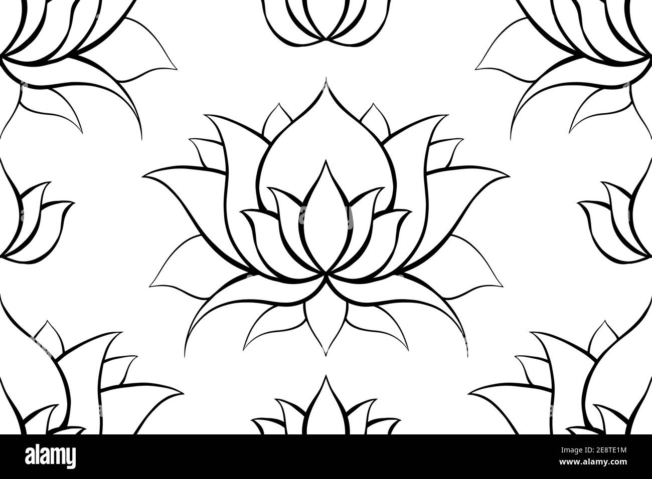 Filigraner Hintergrund mit Konturen von Lotos. Umreißen Sie Seerosen auf weiß. Zarte Naturtapete für Spa und Yoga-Zentren. Vektor florale Textur Stock Vektor