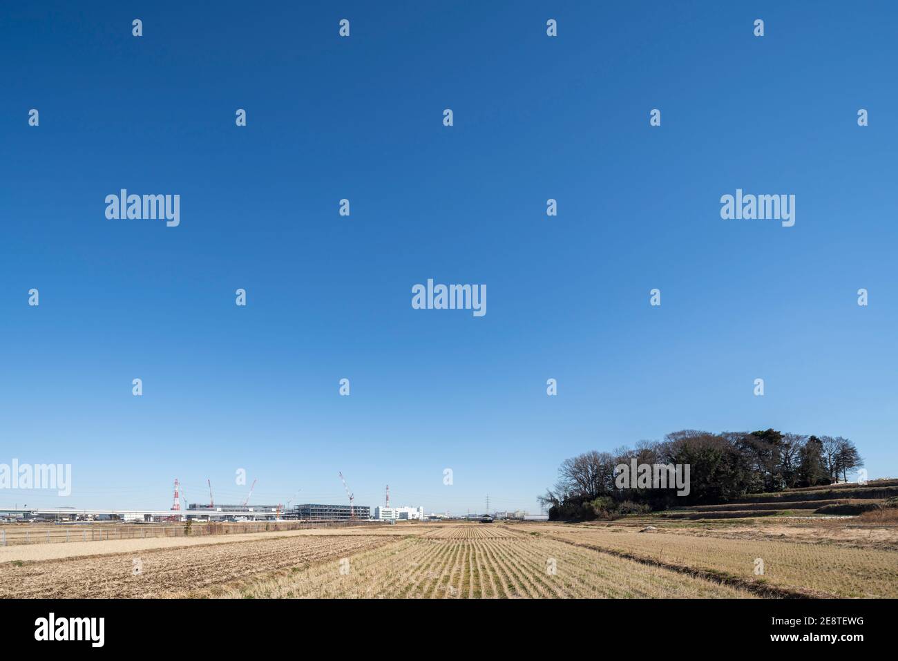 Sonniger Tag, 30. Januar 2021 (Winter), Stadt Isehara, Präfektur Kanagawa, Japan. Wolkendecke 0. Stockfoto