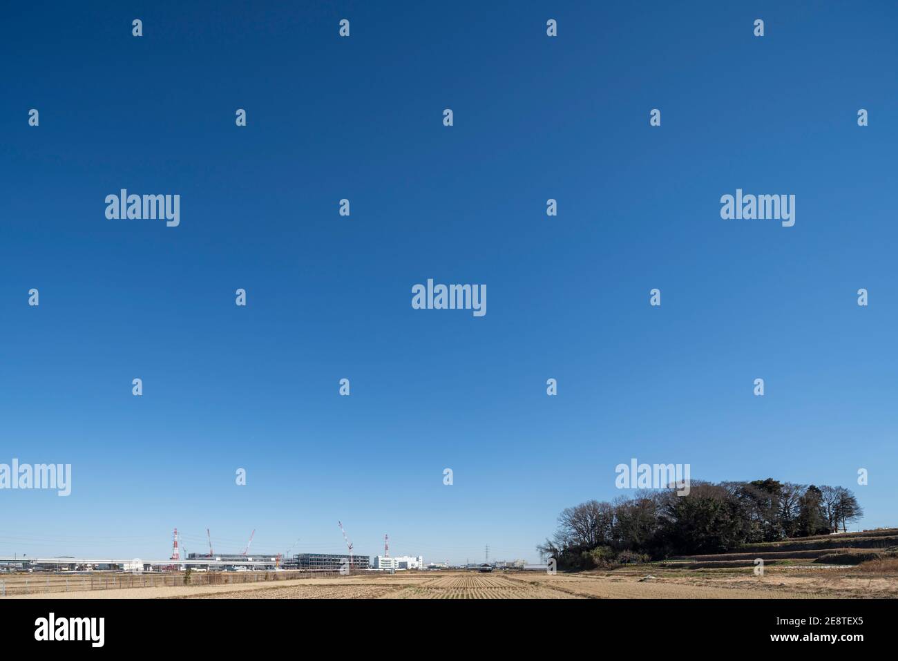 Sonniger Tag, 30. Januar 2021 (Winter), Stadt Isehara, Präfektur Kanagawa, Japan. Wolkendecke 0. Stockfoto