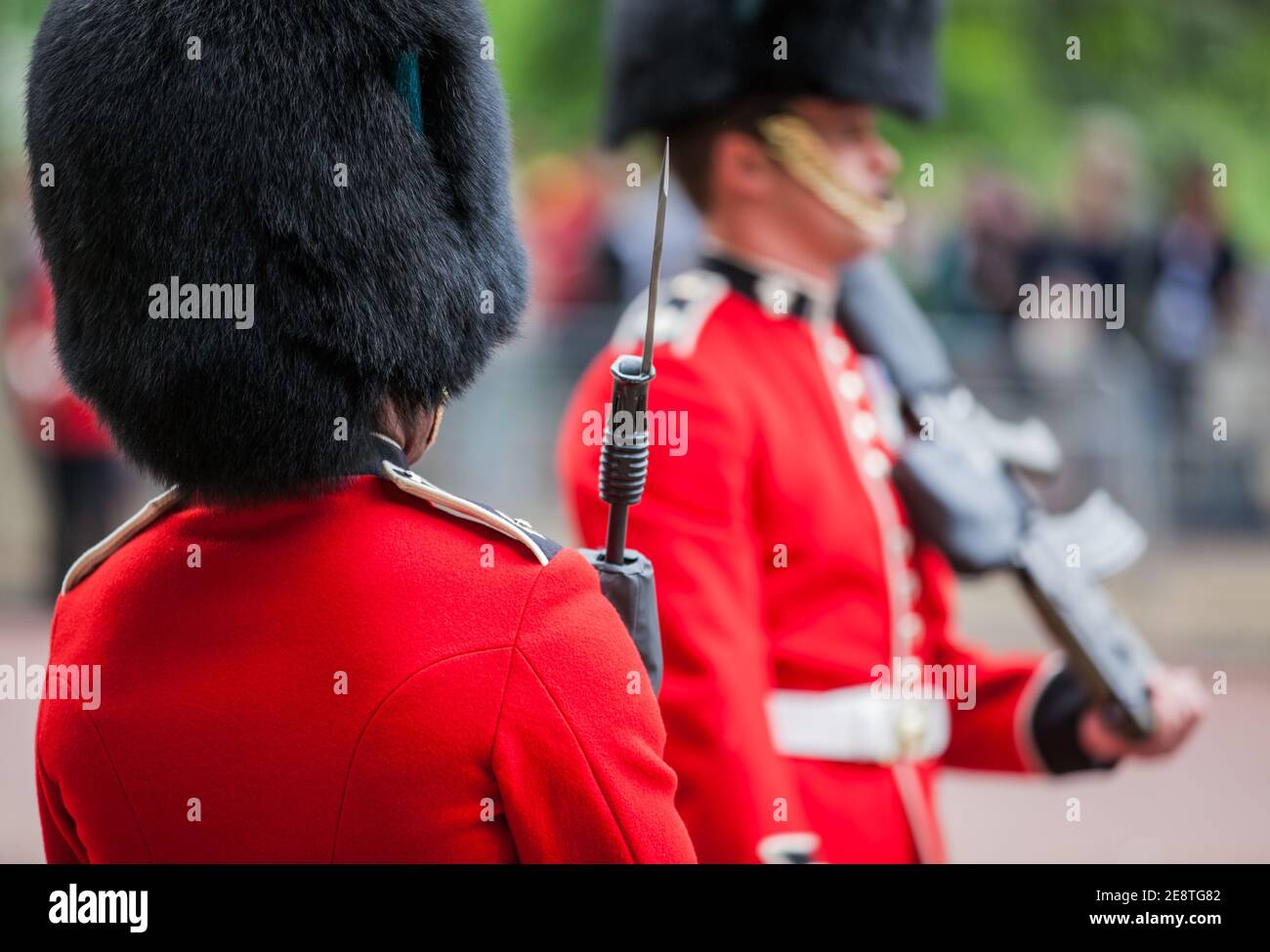 Britische zeremonielle Wachmänner mit roten Tuniken und Bärenfell-Hüten, die während der jährlichen Trooping of the Colour Ceremony zum Geburtstag der Königin vorführen. Stockfoto