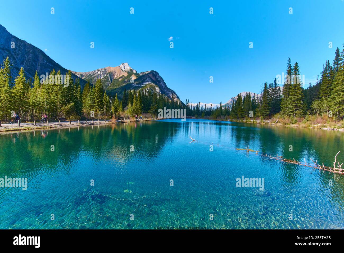 Peter Lougheed Provincial Park, Alberta 40, Kananaskis, ab Donnerstag 12:00 Uhr Bewölkt Stockfoto