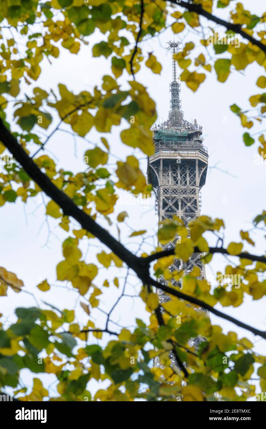 Der Eiffelturm, Paris, Frankreich im Frühherbst durch Bäume gesehen. Stockfoto