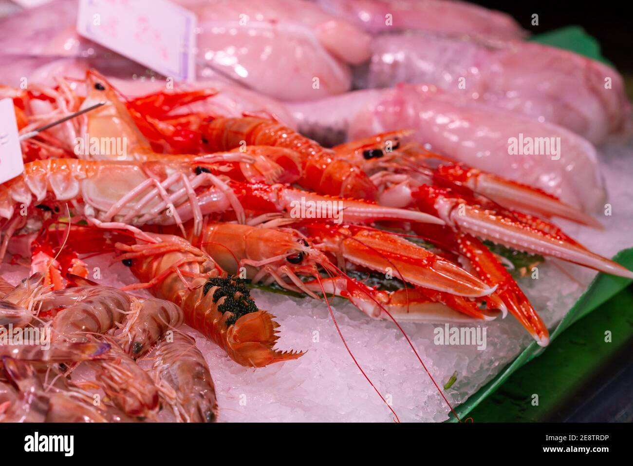 Nahaufnahme von frischem Kaisergranat auf Eis in Die Marke Stockfoto