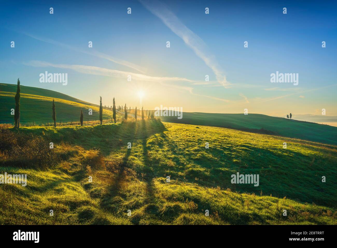 Volterra Landschaft, von Bäumen gesäumte Straße, sanfte Hügel und Nebel bei Sonnenaufgang. Toskana, Italien, Europa Stockfoto