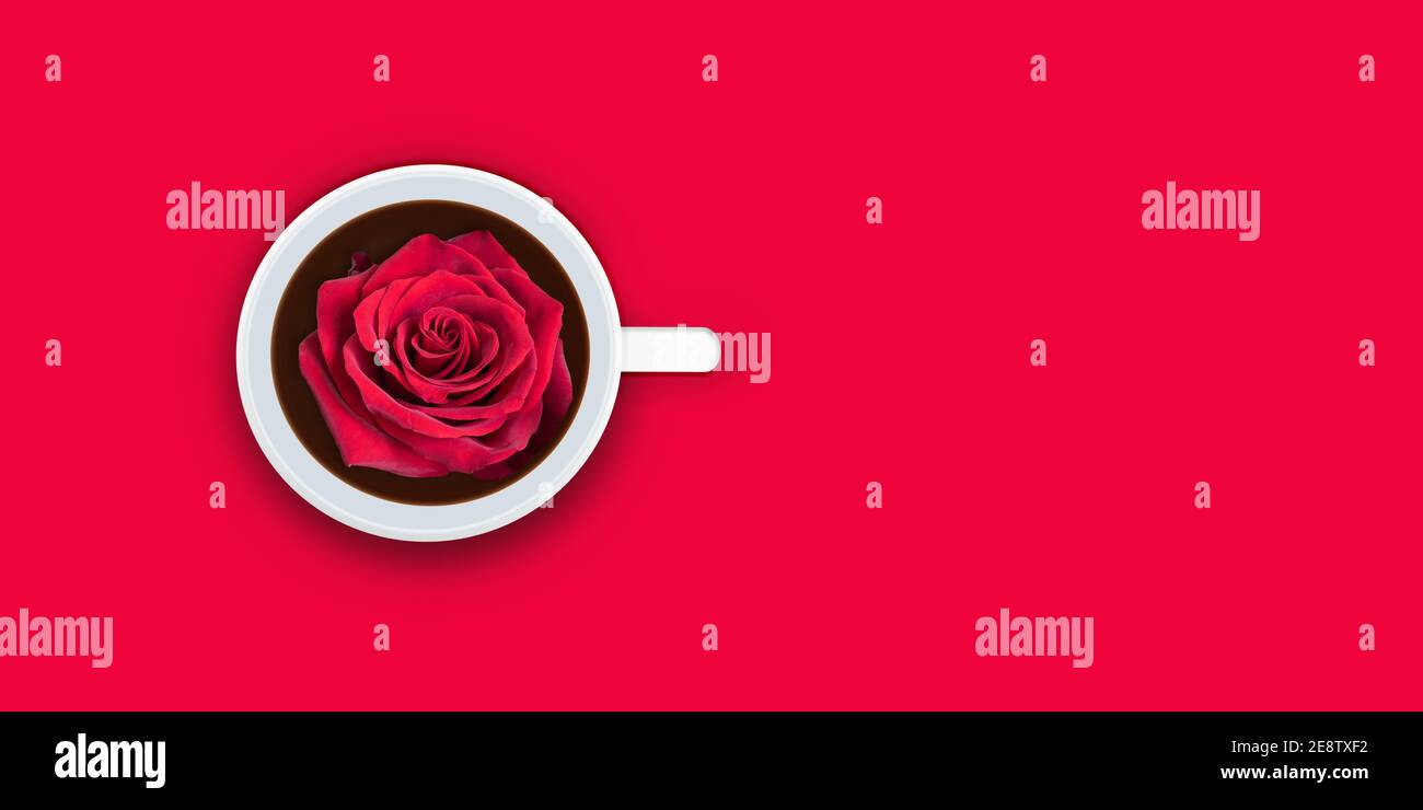 Rote Rose in Tasse Kaffee auf rotem Hintergrund. Happy Valentines Day Konzept. Stockfoto