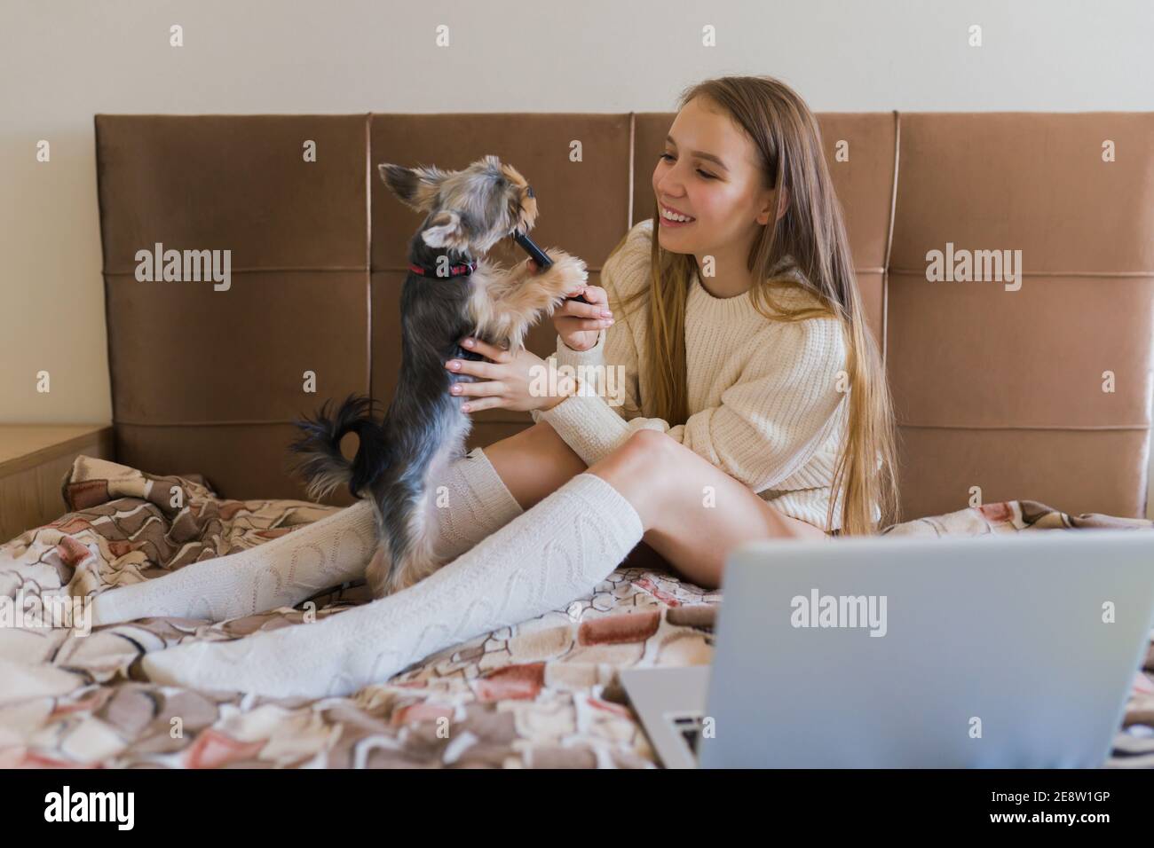 Junge Frau spielt mit Hund am Wochenende Tag zu Hause. Happy yorkshire Terrier Welpe Stockfoto