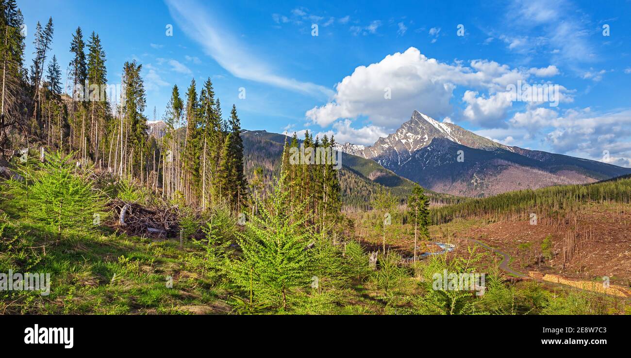 Wunderschöner Blick auf den Sonnenaufgang im Nationalpark hohe Tatra und Strbske pleso (Strbske See) wunderschöner Bergsee in der Slowakei Stockfoto