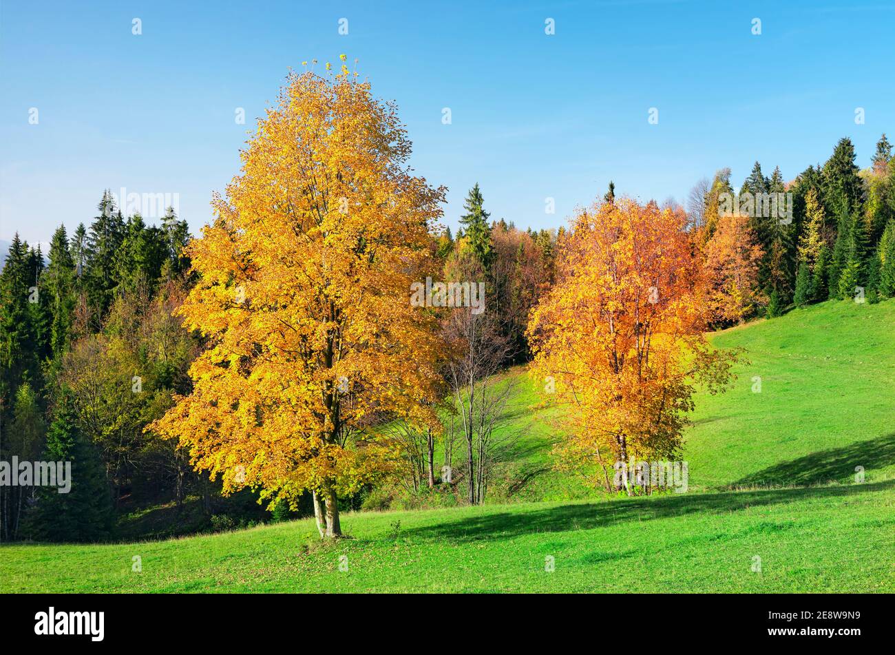 Vesoke tatry, hohe tatra, slowakei, Abenteuer, Landwirtschaft, Agronomie, erstaunlich, Attraktion, Hintergrund, schön, bunt, Land, Ziel, dra Stockfoto