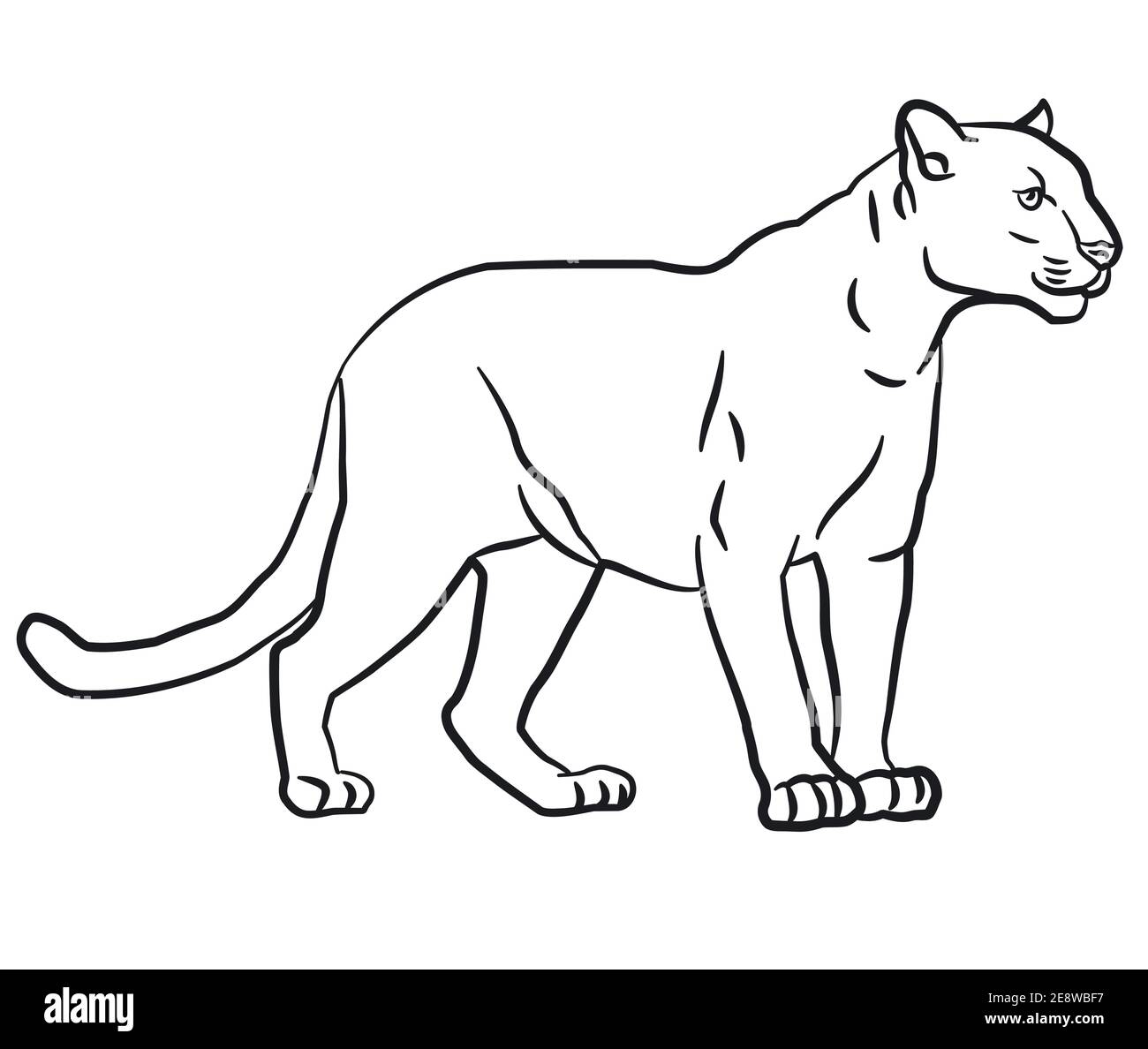 Kontur lineare Zeichnung Illustration des wilden puma Stock Vektor