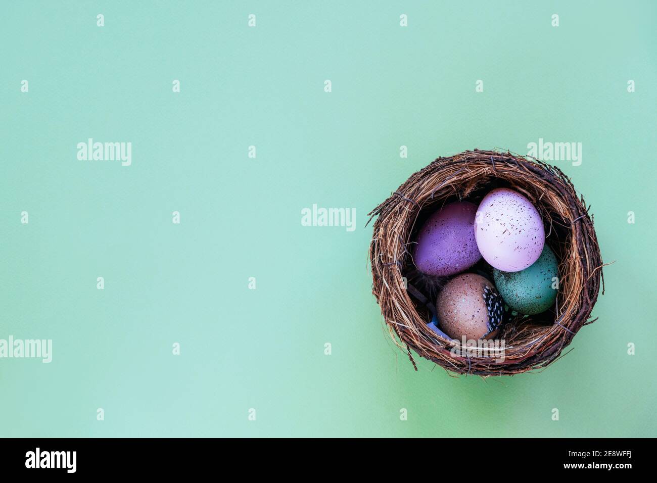 Bemalte Eier im Nest. Osterkonzept. Draufsicht, flach liegend, Kopierbereich. Stockfoto