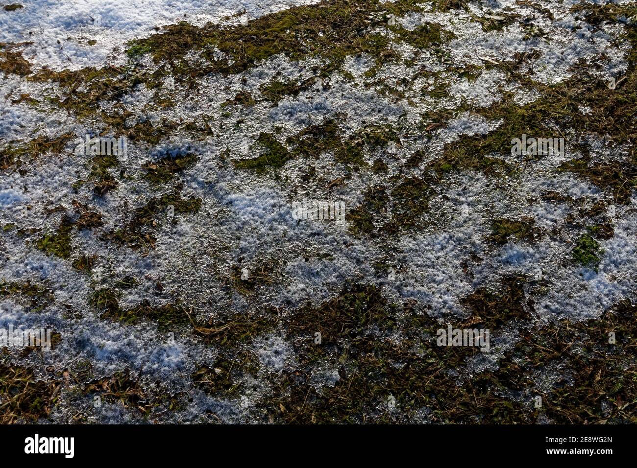 Auftauen von Schnee und Eis auf einem Grasfeld Stockfoto