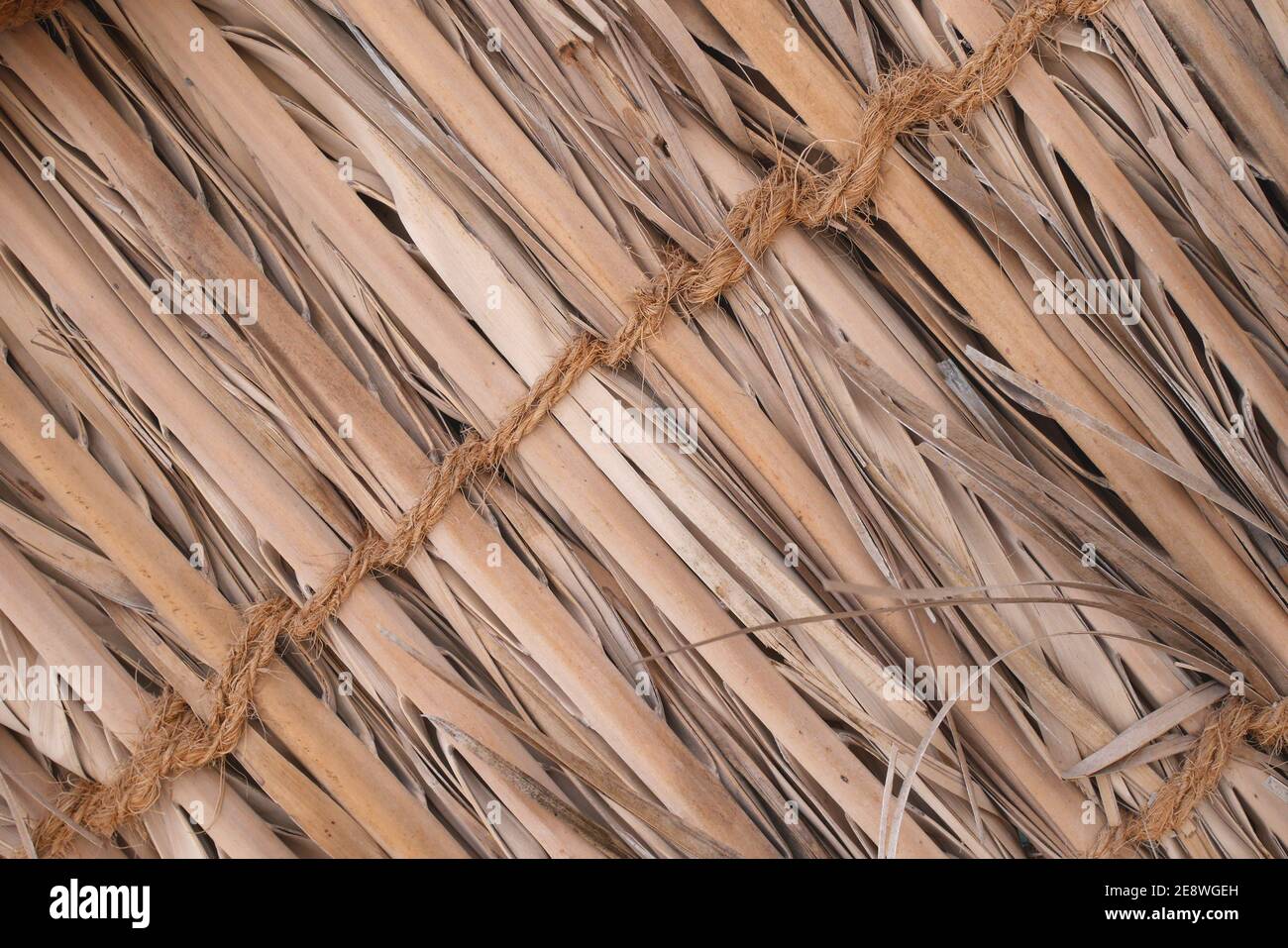 Außenwand aus Palmwedel, Bani Jamra Weberei Textilien Fabrik, Bani Jamra, Königreich Bahrain Stockfoto