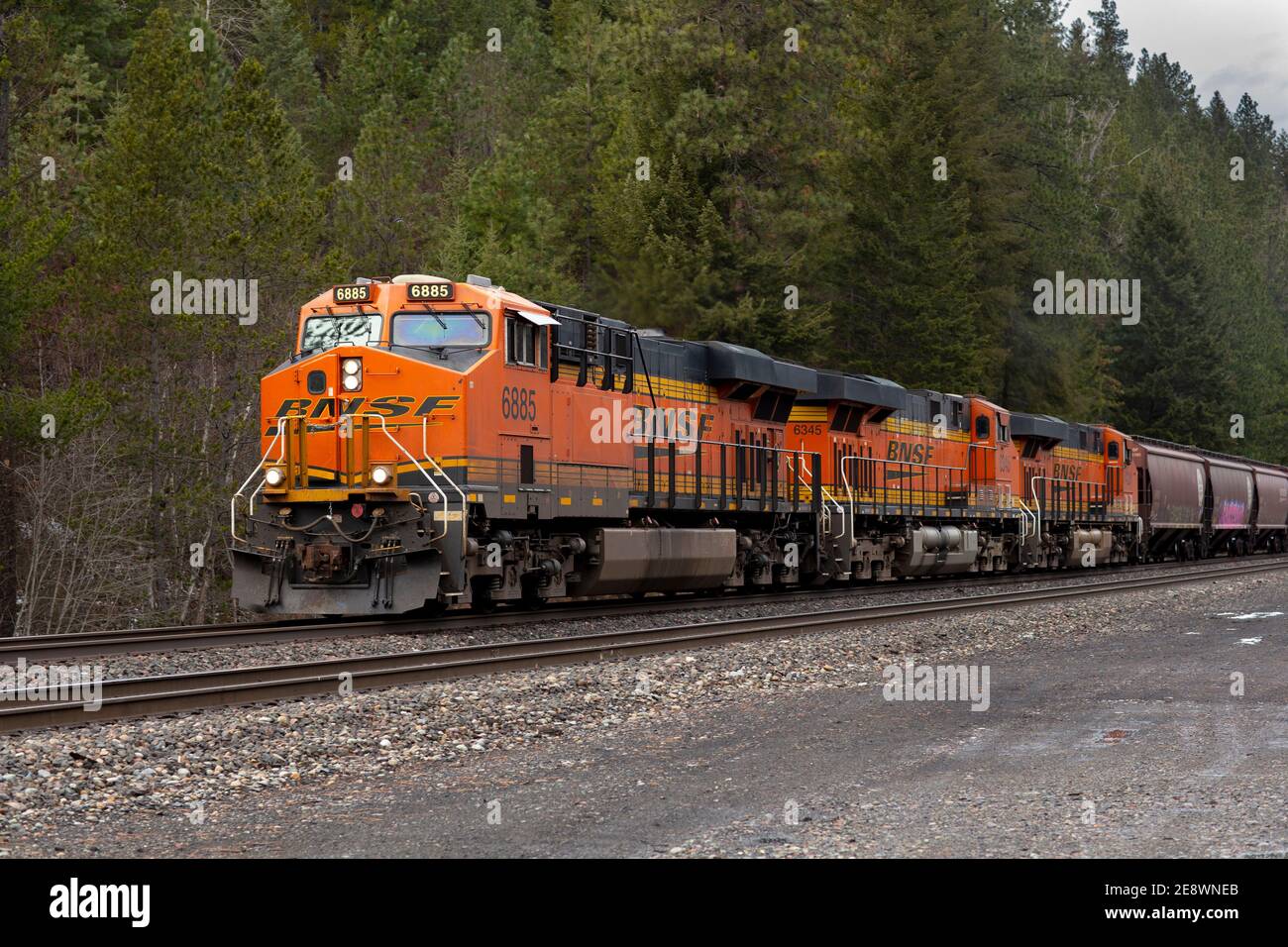 Eine BNSF-Lokomotive, die aus dem Norden in Richtung Troy, Montana, fährt. Die Lokomotive zieht eine Linie von abgedecktem Trichter Stockfoto