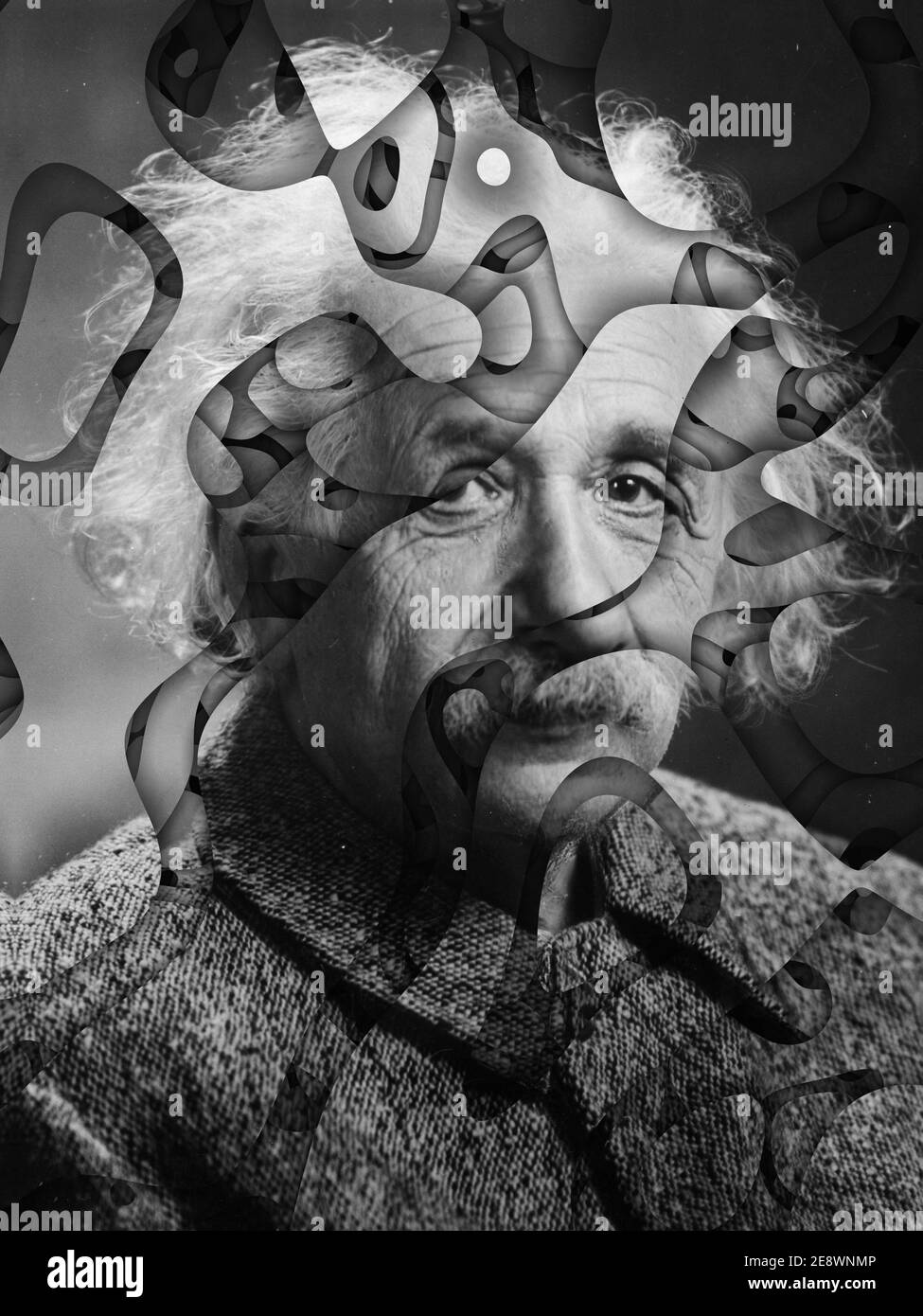 Albert Einstein künstlerische Modifikation, Aneignungskunst Stockfoto