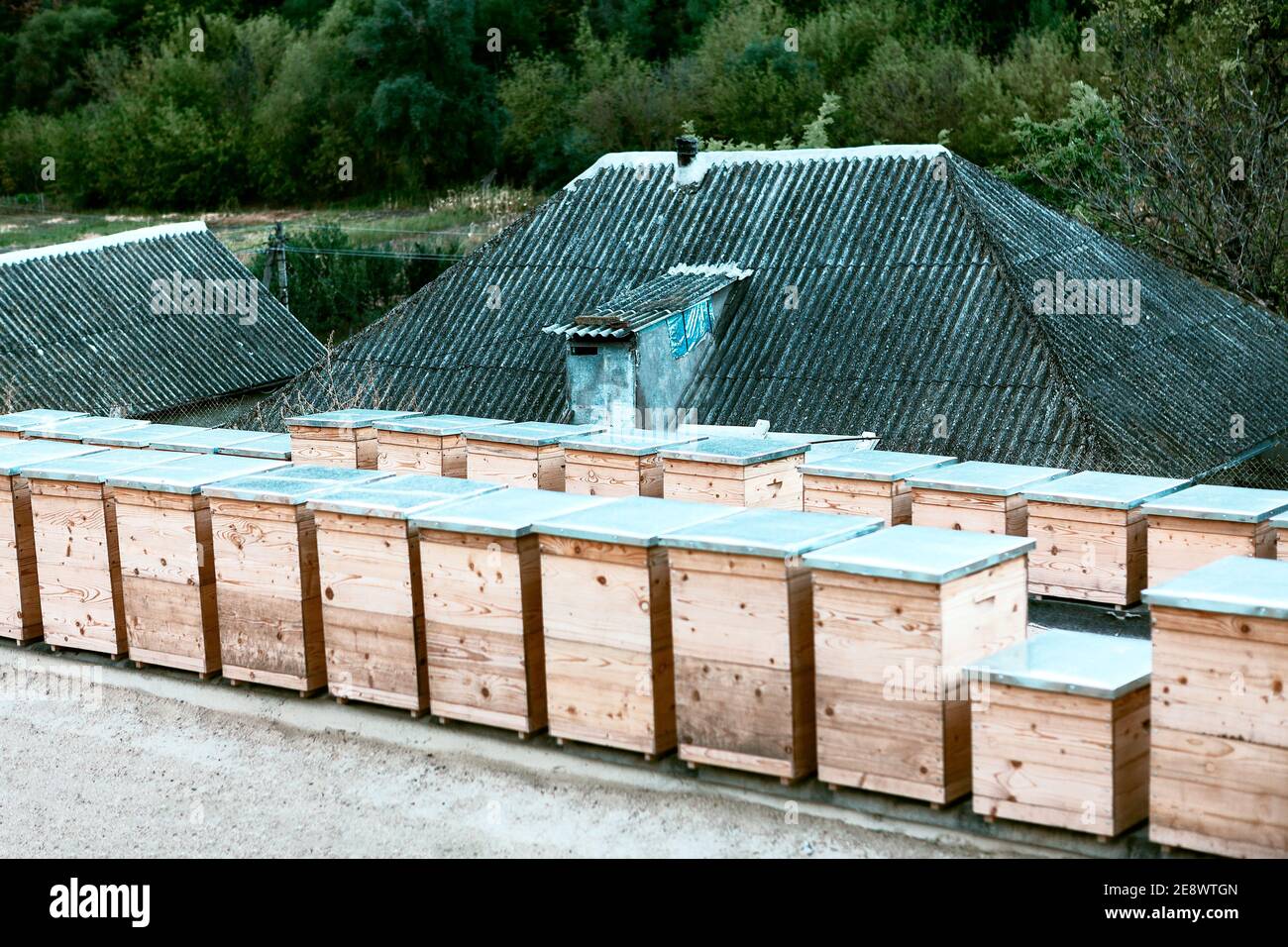 Bienenhaus im Dorf . Bienenstöcke Stockfoto