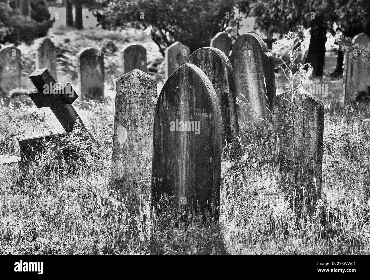 Bewachsener Friedhof mit alten Grabsteinen Stockfoto