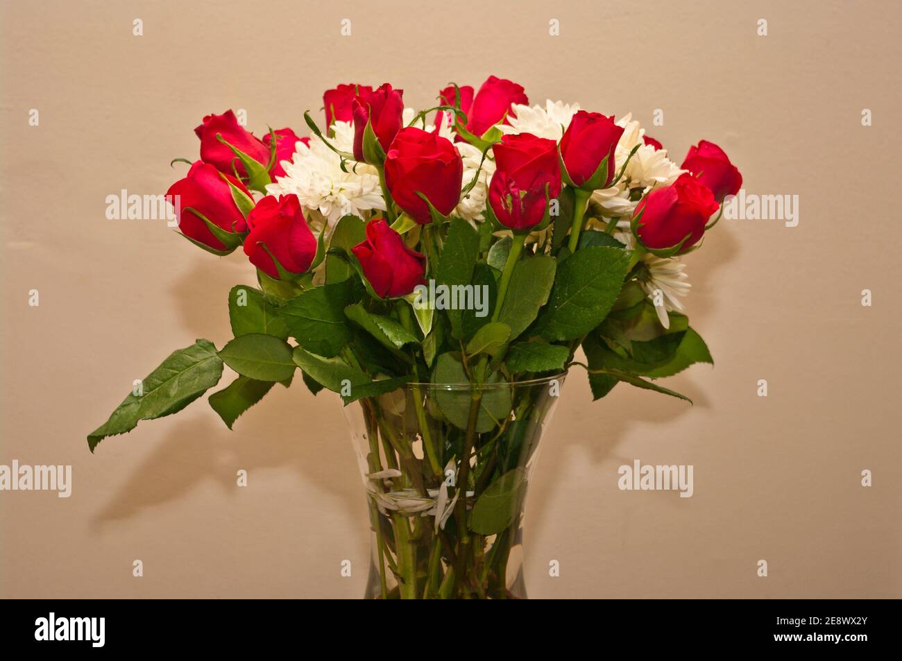 Rote Rosen und weiße Chrysanthemen in EINER Vase Stockfoto