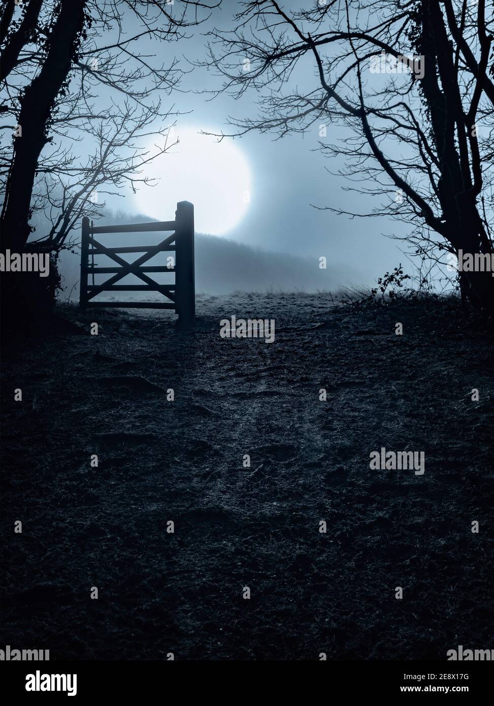 Gate in Silhouette at Dawn. Frühe Winter atmosphärischen Morgennebel und Nebel mit der Sonne hinter. South Downs. Stanmer Great Wood, East Sussex, Großbritannien Stockfoto
