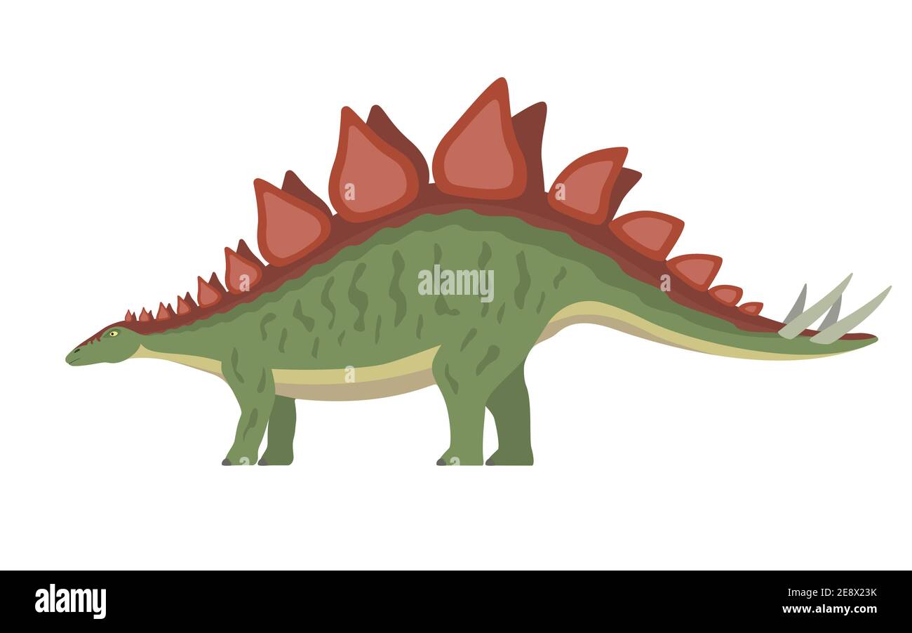 Stegosaurus Dinosaurier. Vektor-Illustration eines prähistorischen Dinosaurier stegosaurus isoliert auf einem weißen Hintergrund. Seitenansicht, Profil. Stock Vektor