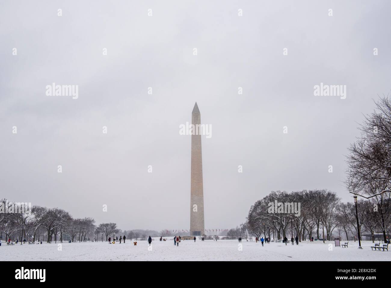 Das Washington Monument und die National Mall, während eines verschneiten Tages in Washington, D.C. Stockfoto