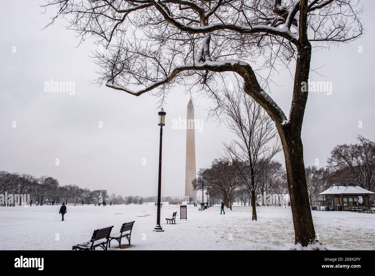 Das Washington Monument und die National Mall, während eines verschneiten Tages in Washington, D.C. Stockfoto