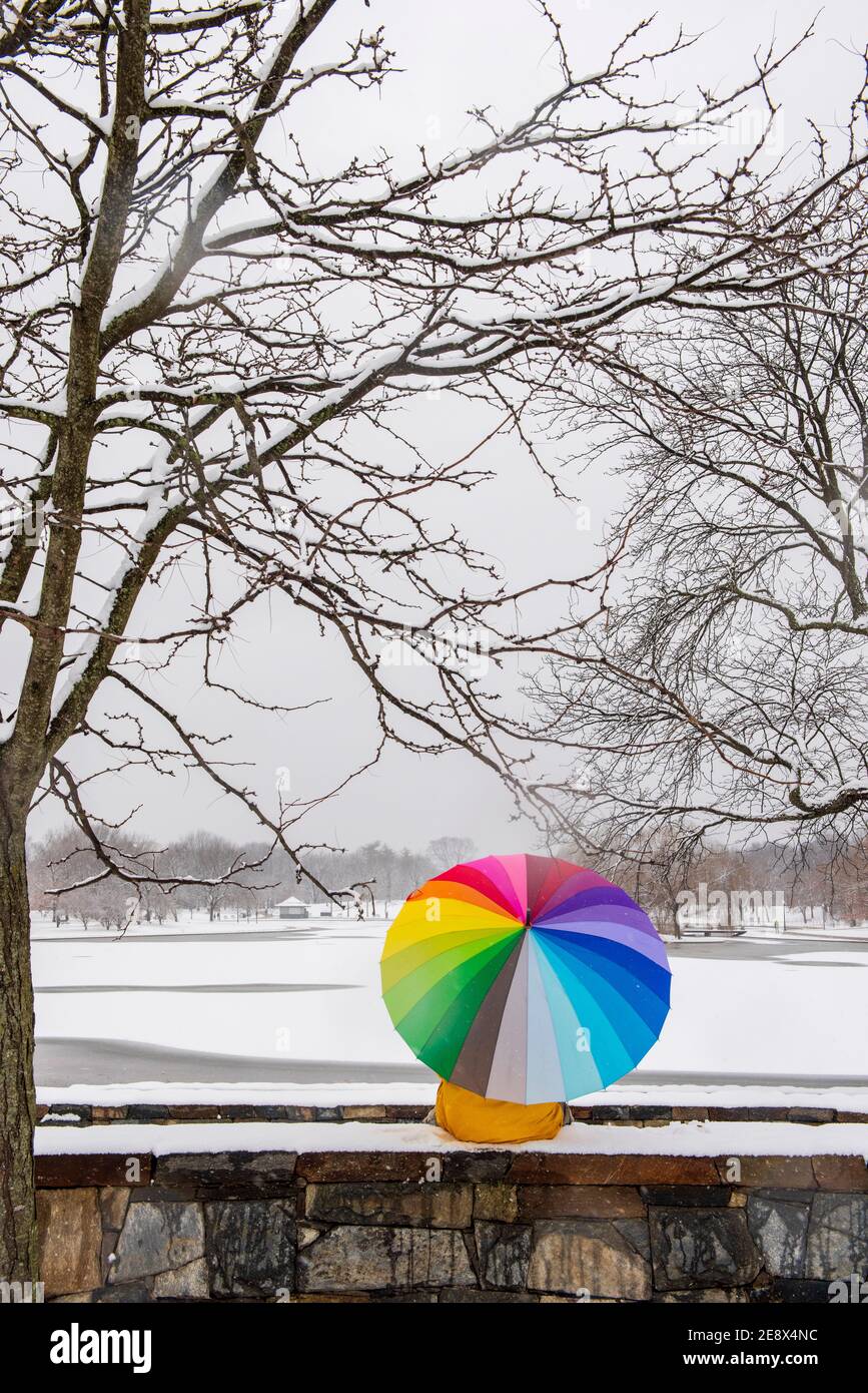 Ein Mann mit einem bunten Regenschirm besucht Constitution Gardens während eines verschneiten Tages in Washington, D.C. Stockfoto