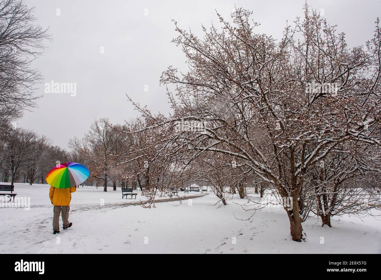 Ein Mann mit einem bunten Regenschirm besucht Constitution Gardens während eines verschneiten Tages in Washington, D.C. Stockfoto